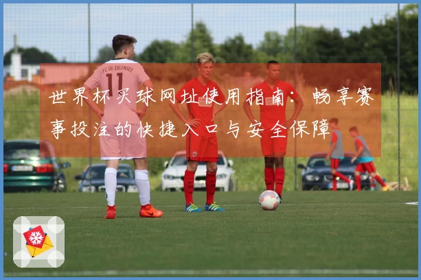 世界杯买球网址使用指南：畅享赛事投注的快捷入口与安全保障