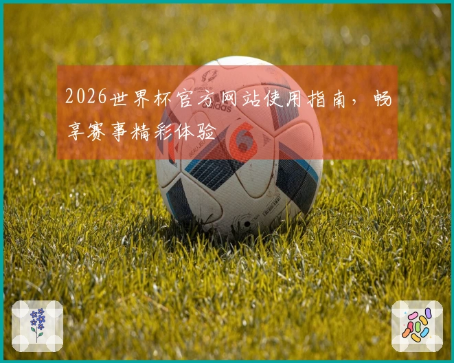 2026世界杯官方网站使用指南,畅享赛事精彩体验