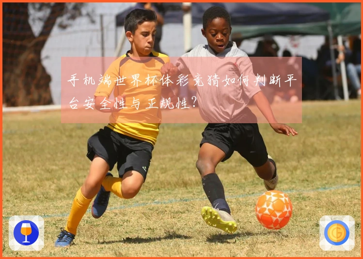 手机端世界杯体彩竞猜如何判断平台安全性与正规性？