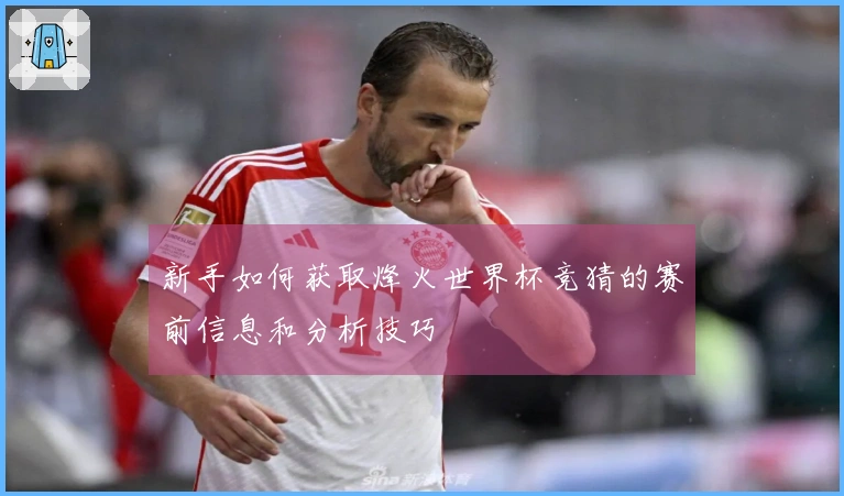 新手如何获取烽火世界杯竞猜的赛前信息和分析技巧