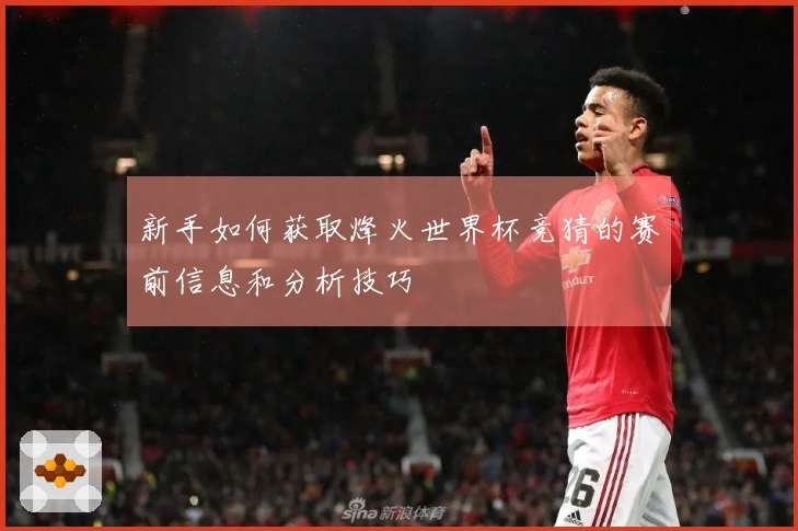 新手如何获取烽火世界杯竞猜的赛前信息和分析技巧