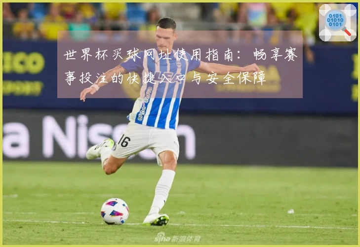 世界杯买球网址使用指南：畅享赛事投注的快捷入口与安全保障