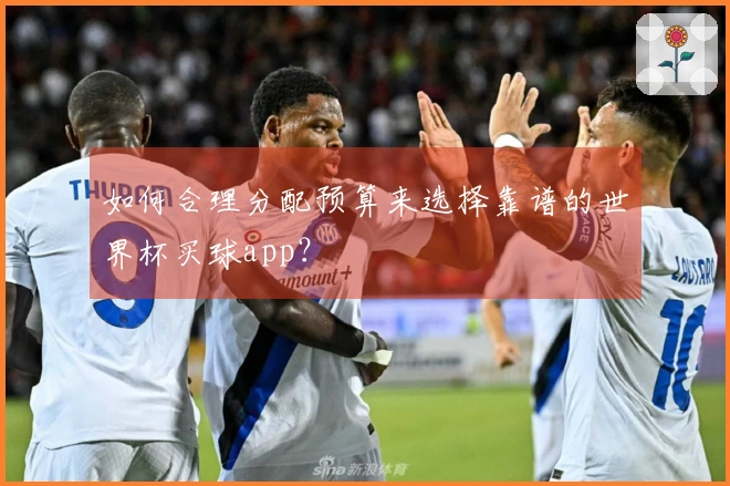 如何合理分配预算来选择靠谱的世界杯买球app？
