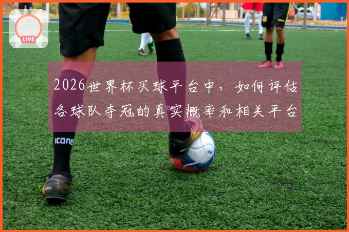 2026世界杯买球平台中，如何评估各球队夺冠的真实概率和相关平台的可信度？