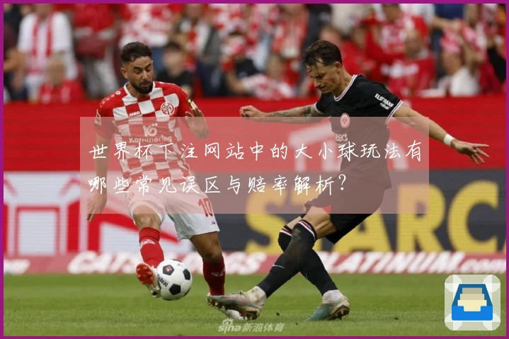 世界杯下注网站中的大小球玩法有哪些常见误区与赔率解析？