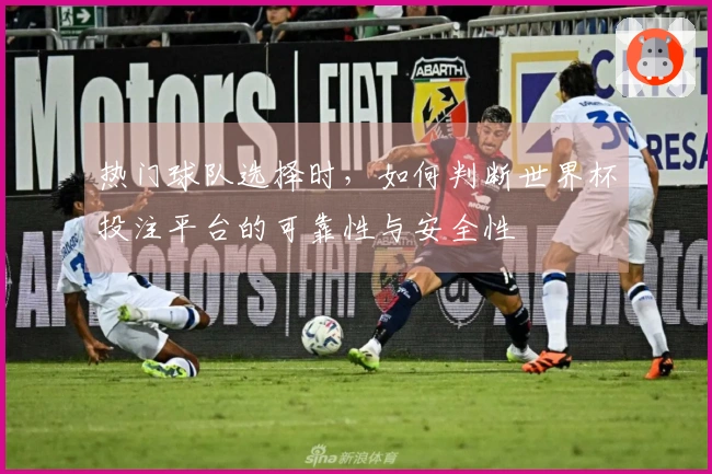 热门球队选择时，如何判断世界杯投注平台的可靠性与安全性