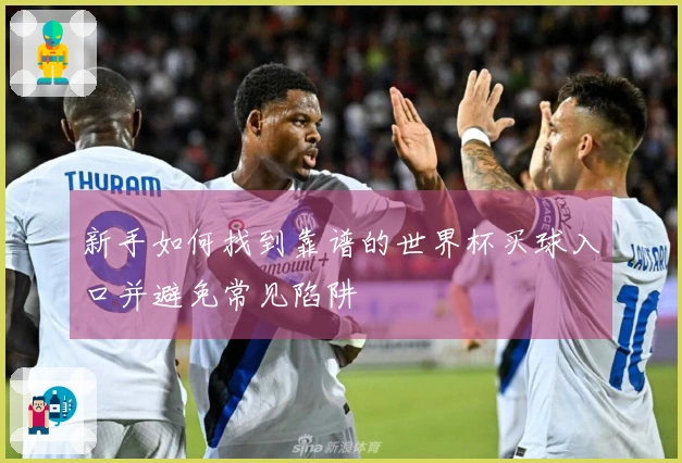 新手如何找到靠谱的世界杯买球入口并避免常见陷阱