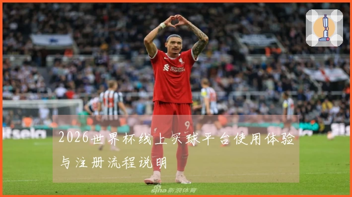 2026世界杯线上买球平台使用体验与注册流程说明