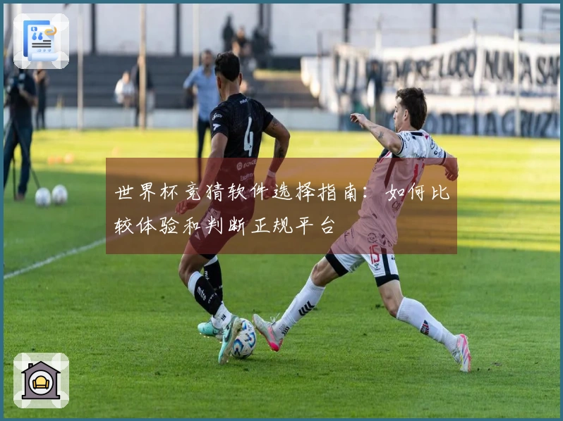 世界杯竞猜软件选择指南：如何比较体验和判断正规平台
