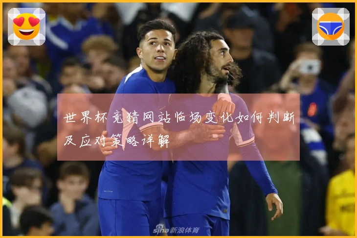 世界杯竞猜网站临场变化如何判断及应对策略详解