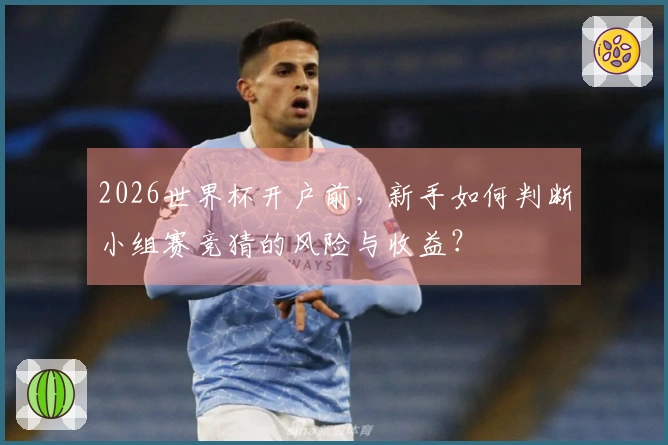 2026世界杯开户前，新手如何判断小组赛竞猜的风险与收益？