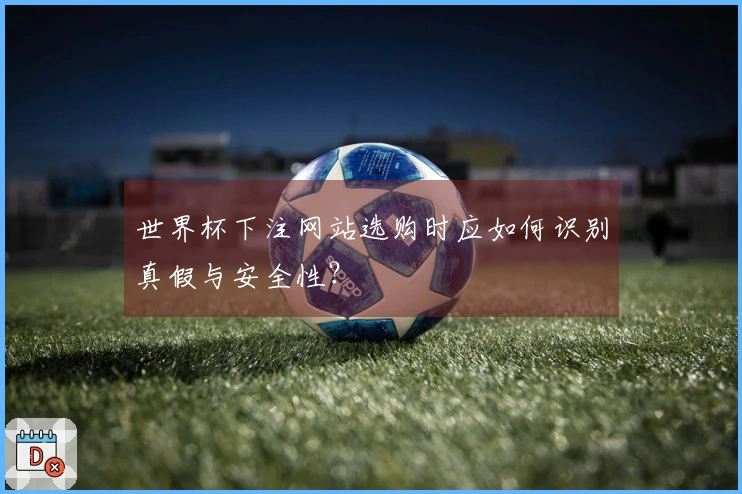 世界杯下注网站选购时应如何识别真假与安全性?