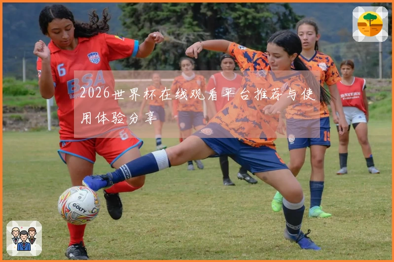 2026世界杯在线观看平台推荐与使用体验分享