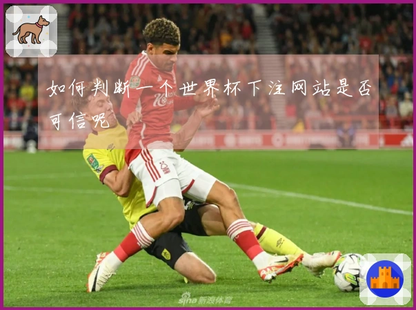 如何判断一个世界杯下注网站是否可信呢