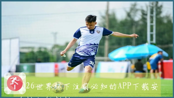 2026世界杯下注前必知的APP下载安全性如何判断