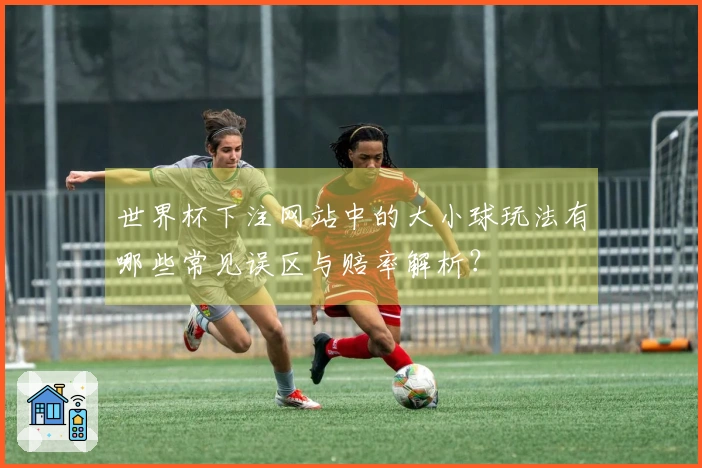 世界杯下注网站中的大小球玩法有哪些常见误区与赔率解析？