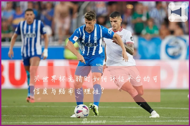买世界杯竞猜时如何评估平台的可信度与赔率合理性？