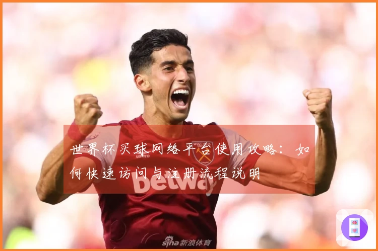 世界杯买球网络平台使用攻略：如何快速访问与注册流程说明