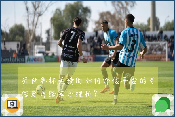买世界杯竞猜时如何评估平台的可信度与赔率合理性？